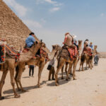 No Solo Verás Egipto, Lo Vivirás: 5 Experiencias Culturales que Te Marcarán